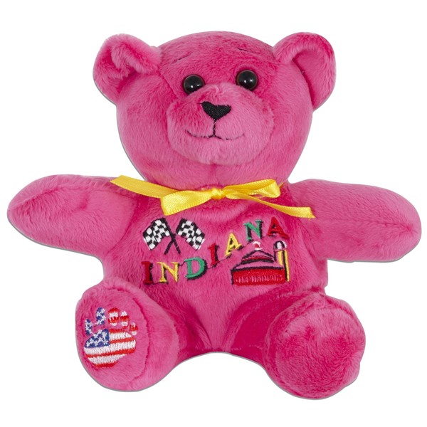 Symbolz State Souvenir Kentucky State Bear Pink Plush Stuffed Animal