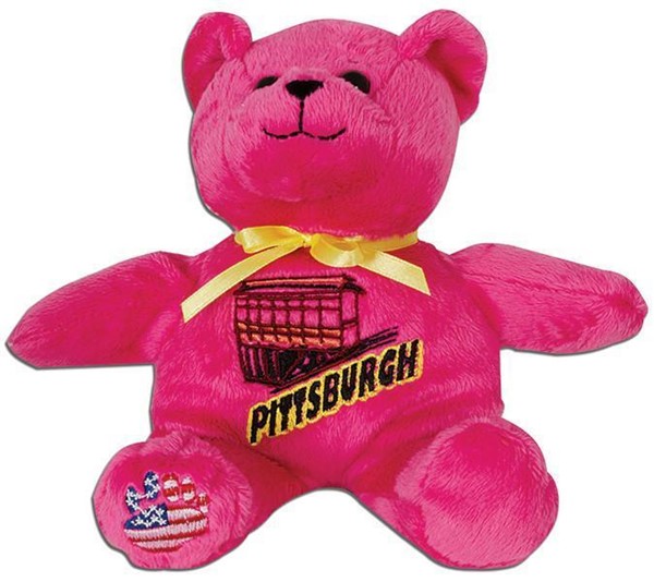 Symbolz State Souvenir Kentucky State Bear Pink Plush Stuffed Animal